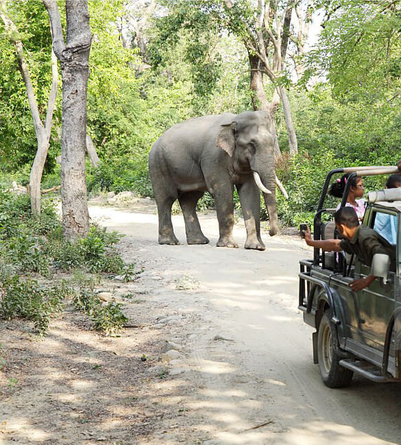 Nature Retreat Image